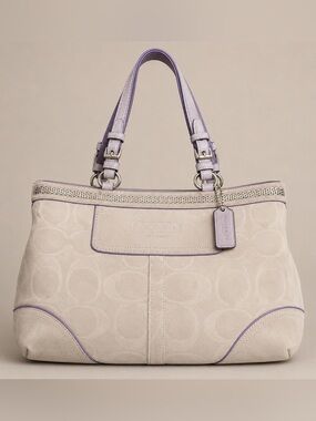 Coach Suede Tote
